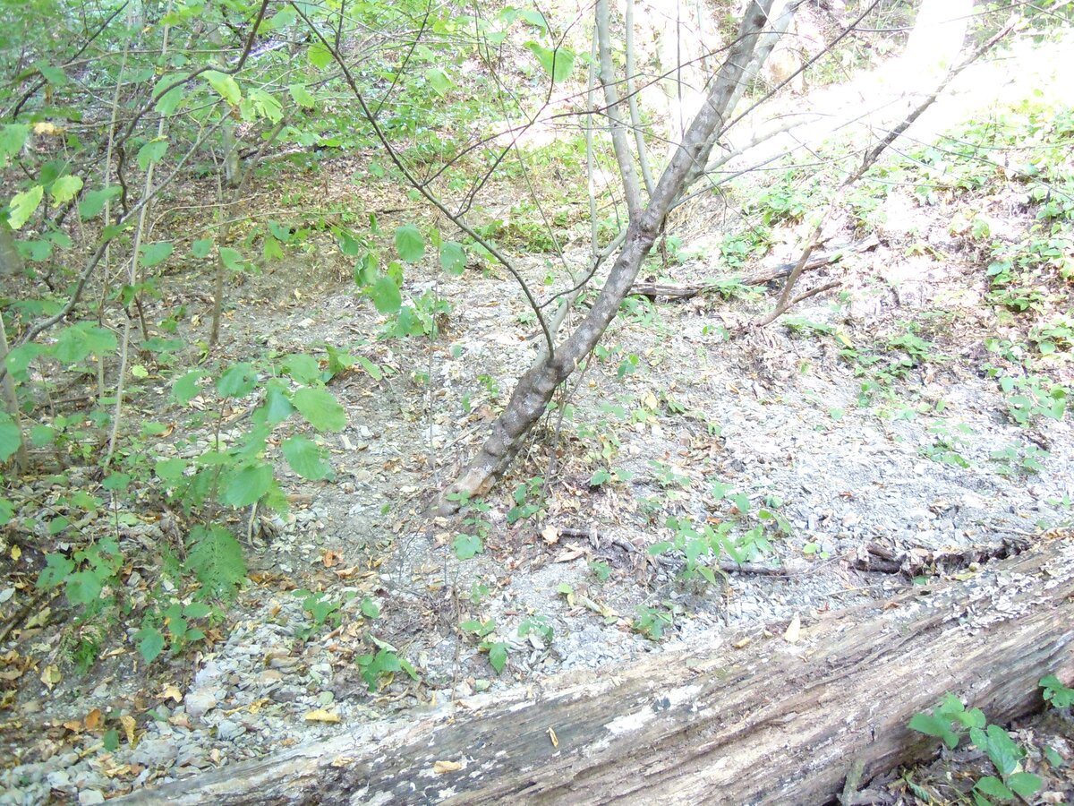 Ранее уже упоминал в другой теме об этом феномене. В 2023 году сделал несколько снимков. Вот самый красивый гладкий участок каменной дороги на пути из станицы Севастопольская к посёлку Победа.-27