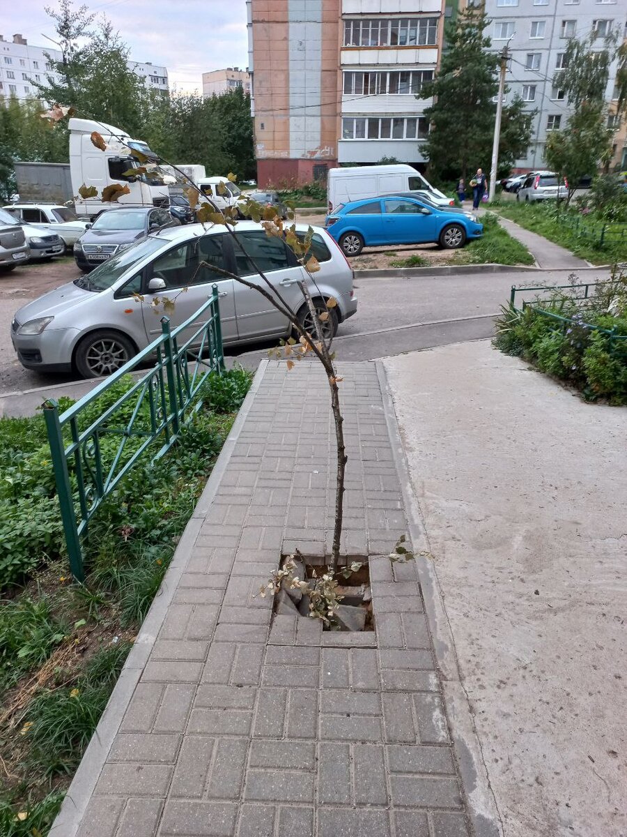 Концепция добра. Зачем помогать тому, кто виноват сам? И почему, помогая,  не стоит совать нос в чужие дела | Путь к свободе | Дзен