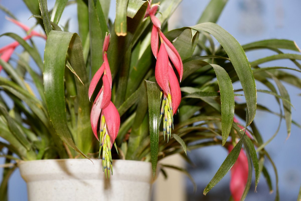 Фото из бесплатного доступа