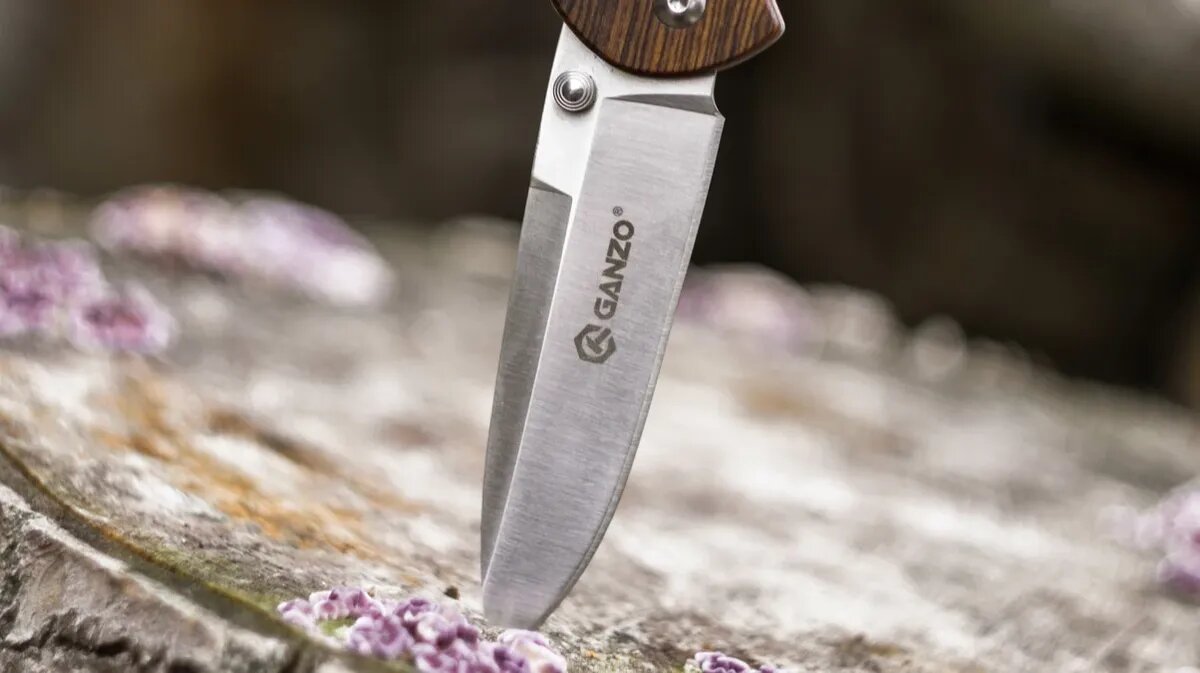 Фото: pxhere.com