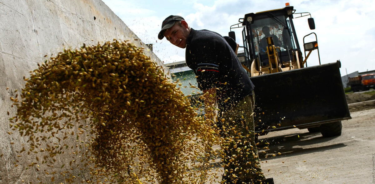 Фото: Донат Сорокин/ТАСС
