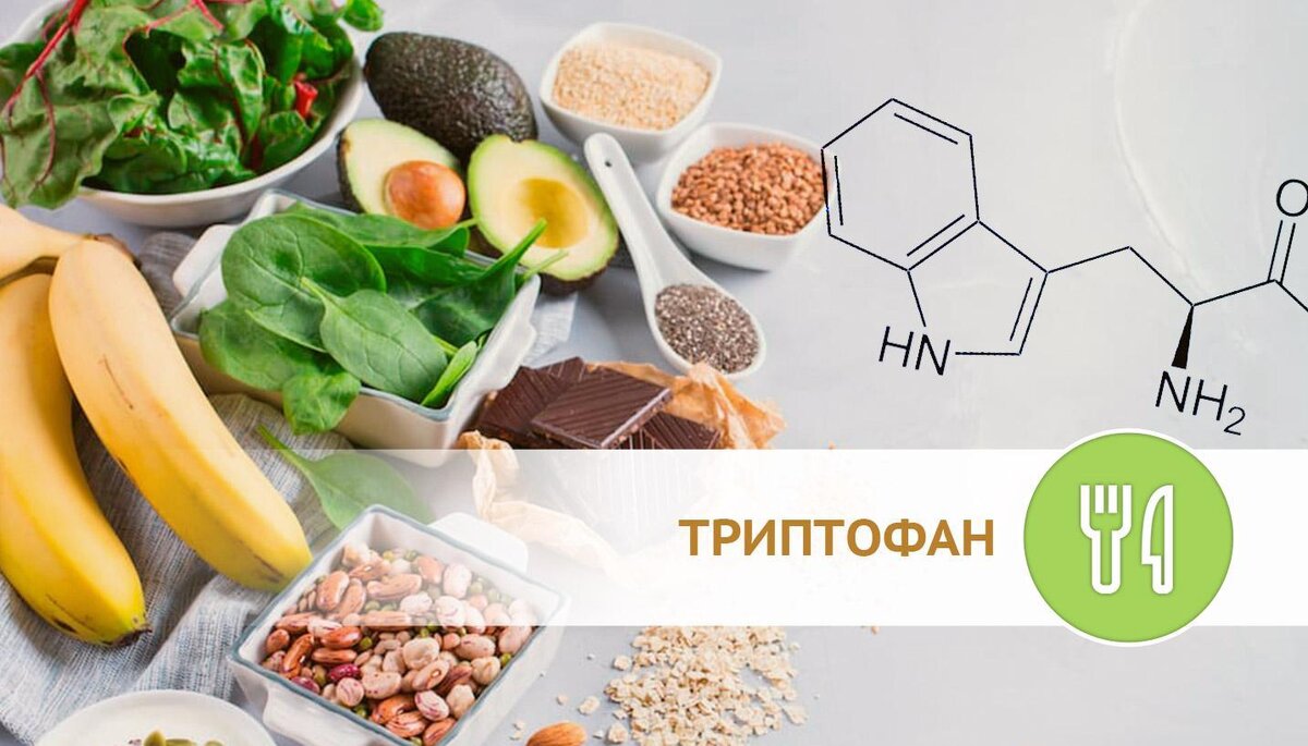 Содержание триптофана в основных продуктах