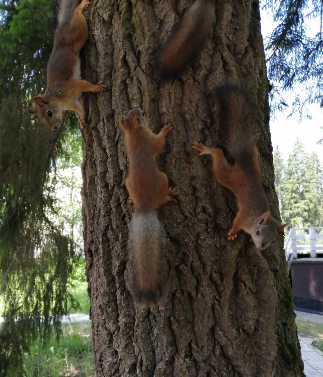 Невозможно глаз отвести! Фото автора. 