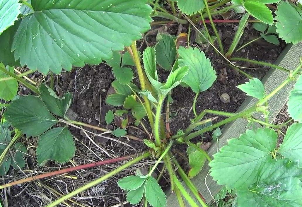 Фото из личного архива автора