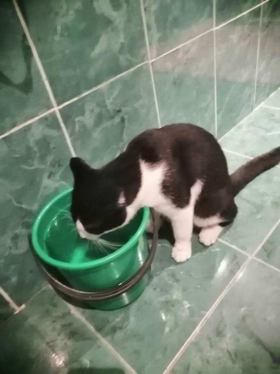 Авторское фото