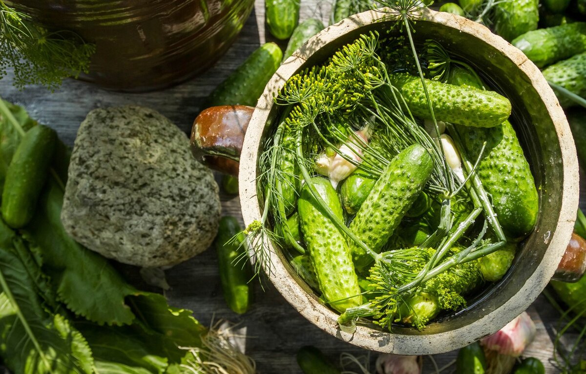 Рассказываю о вкуснейшем рецепте засолки Огурцов на зиму без закатывания в  Банки | Домик окнами в сад | Дзен