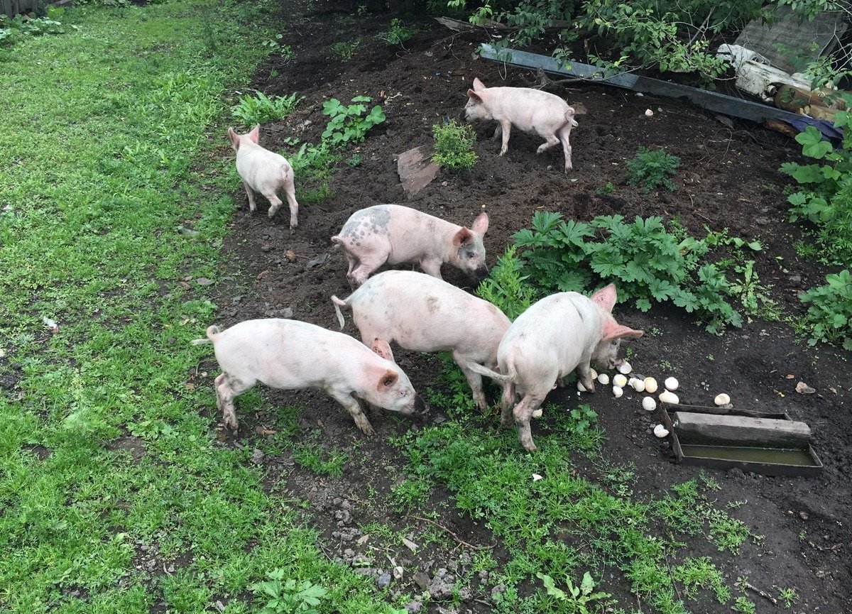 Фото с интернет источника