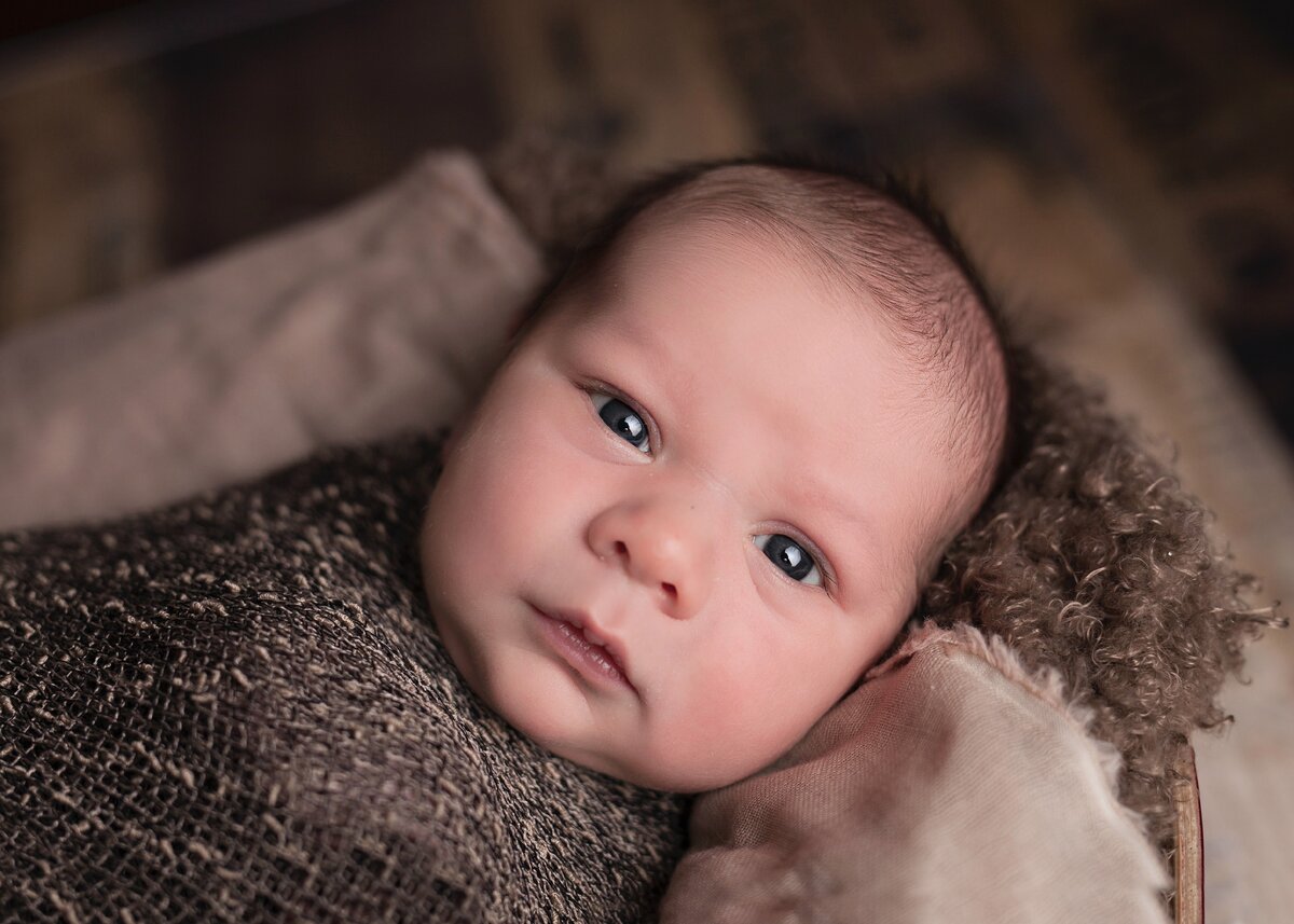 Фото mindy-olson  с сайта unsplash