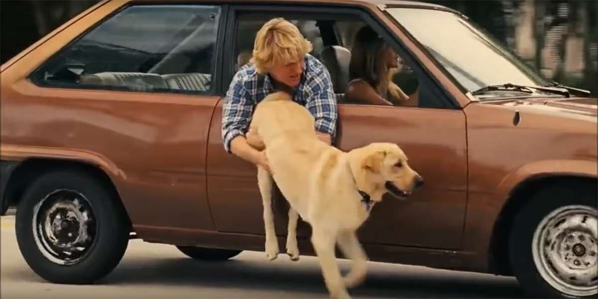 Кадр из фильма "Марли и Я"