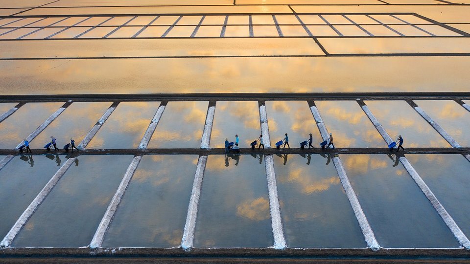 «Работа на соляном поле». Автор: @caokynhan (Вьетнам)