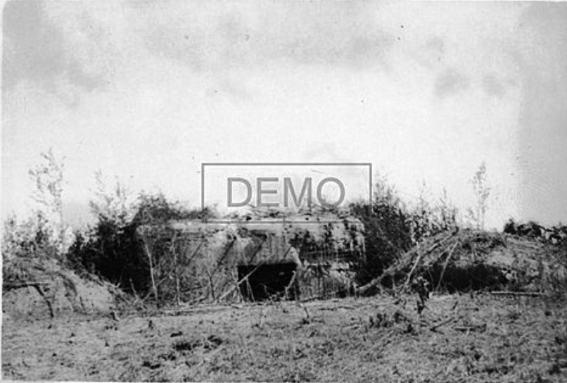 В прошлом году в бейных лотах всплыли две немецкие фотографии 1941 года одного загадочного ДОТа. Как всегда отловил фото псковский историк Михаил Тух.-2