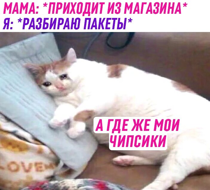 жиза