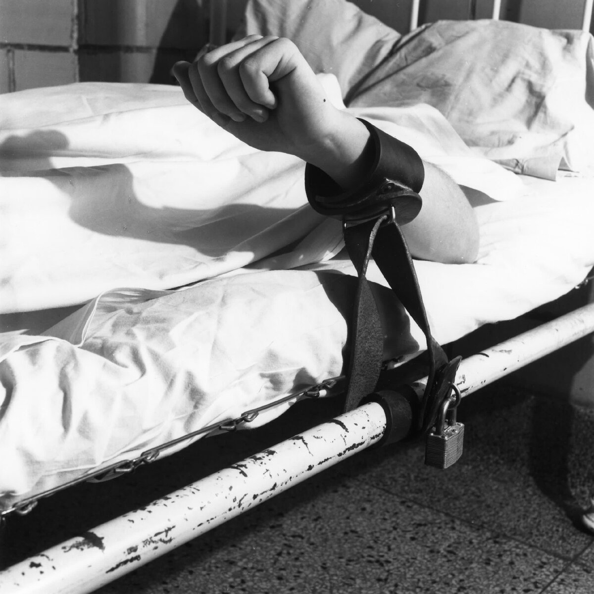 Фотоизображение взято из открытых интернет - источников