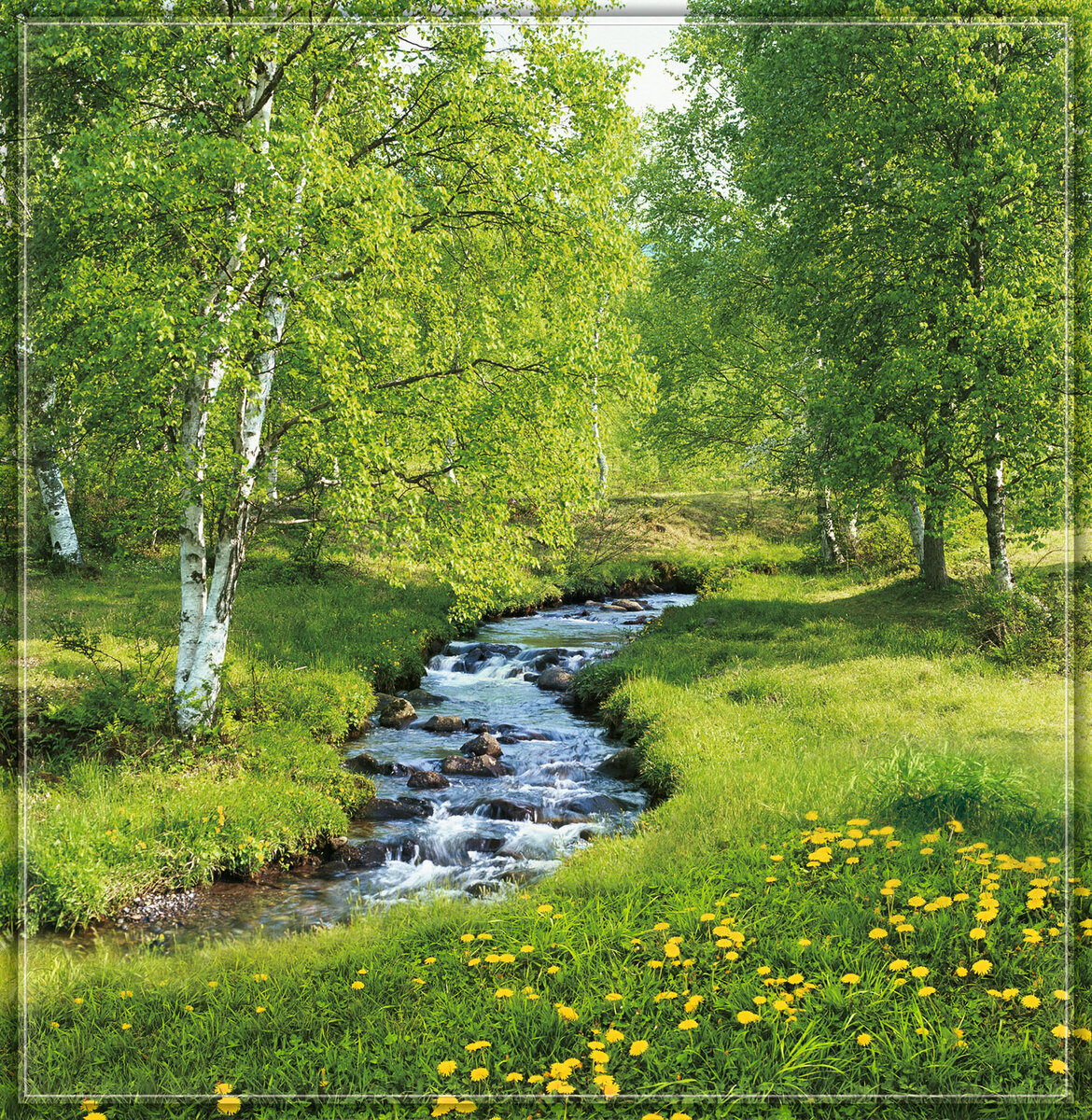 Фото из интернета 