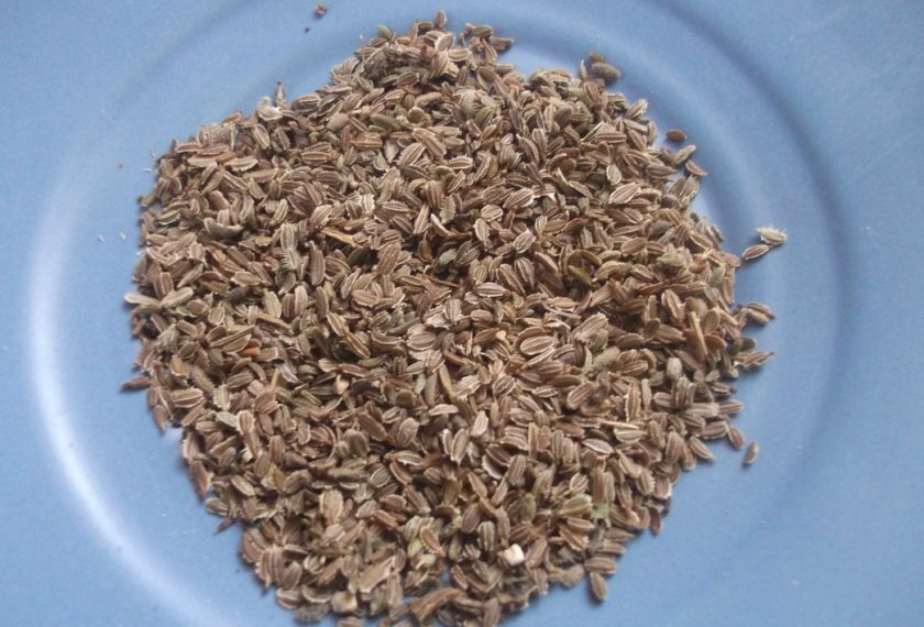 Фото: https://fermer.blog/