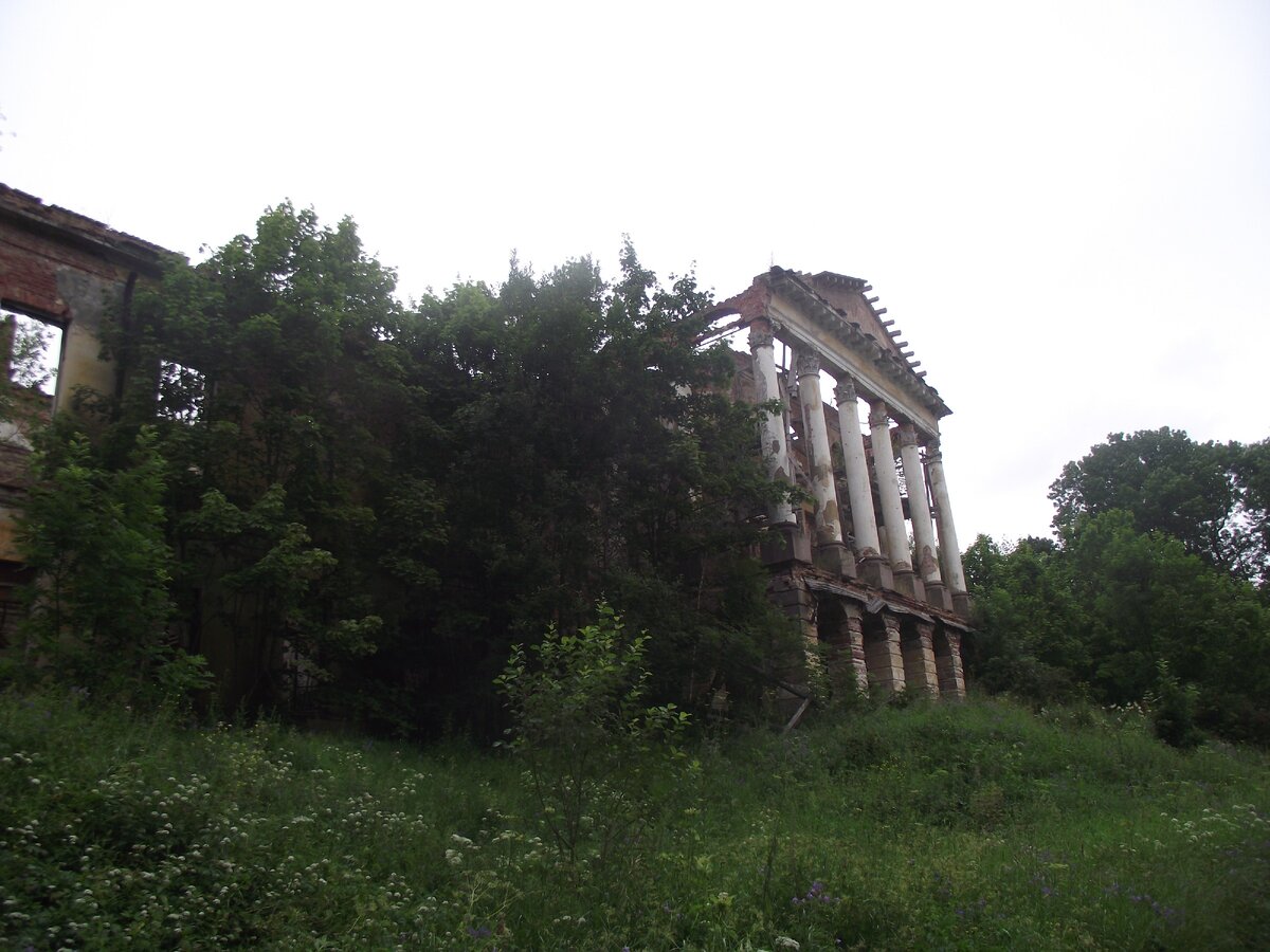 Притаился среди пышной зелени.