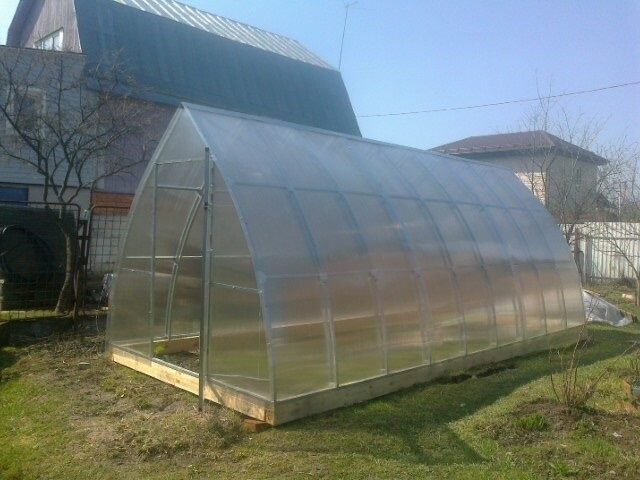 Наша теплица