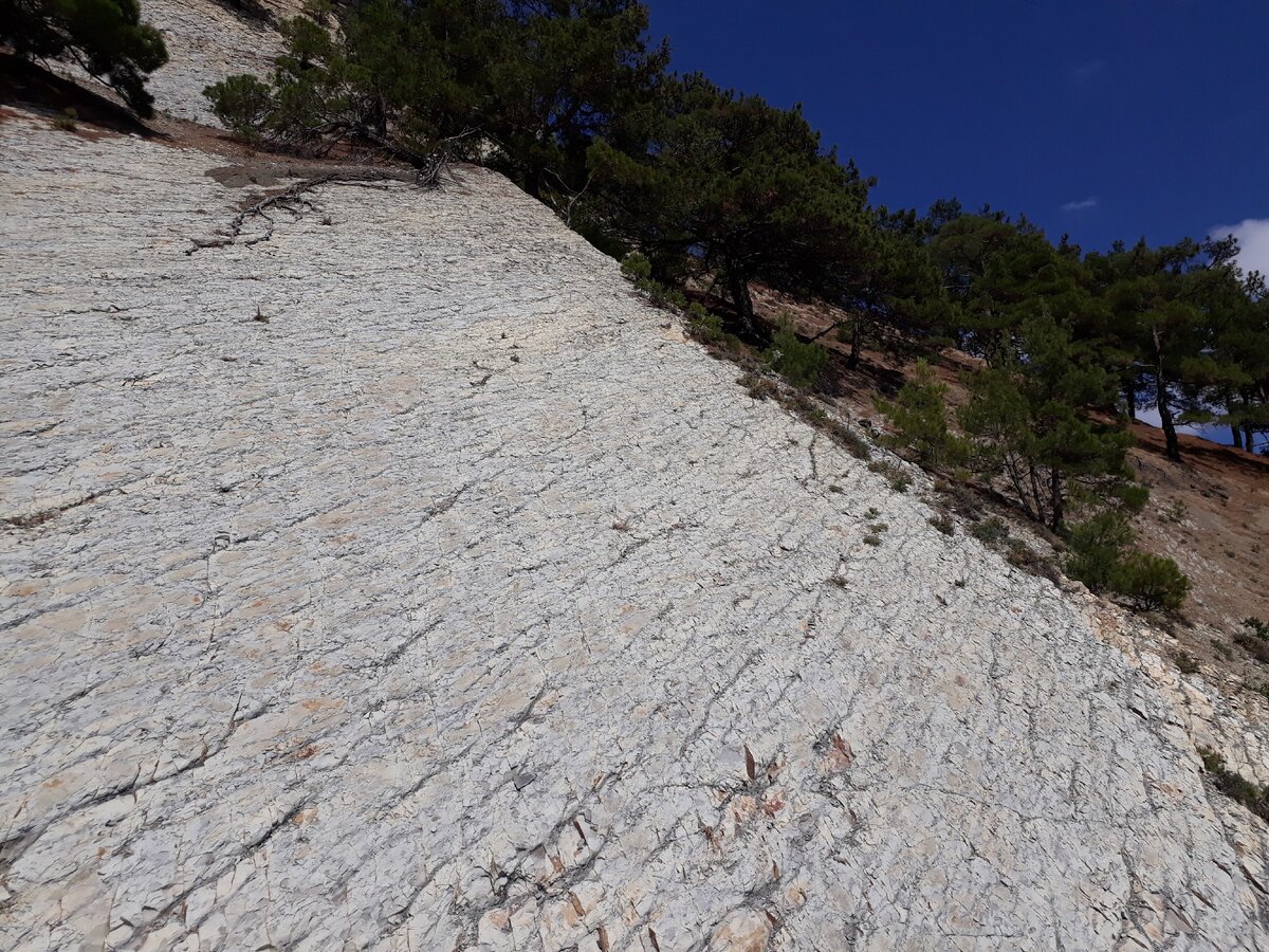 Перевёрнутое видение