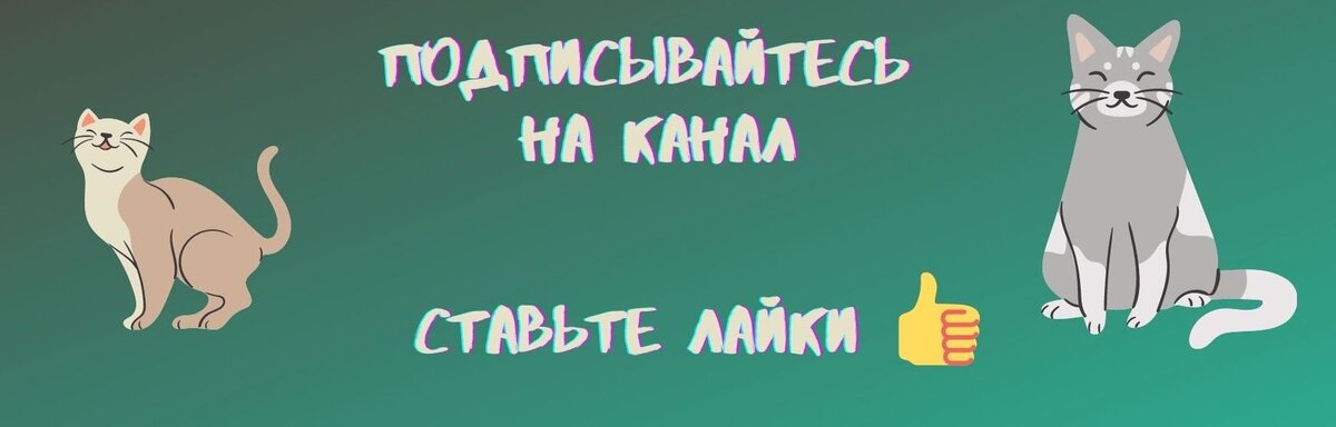 Котенок сосет одеяло - что делать?