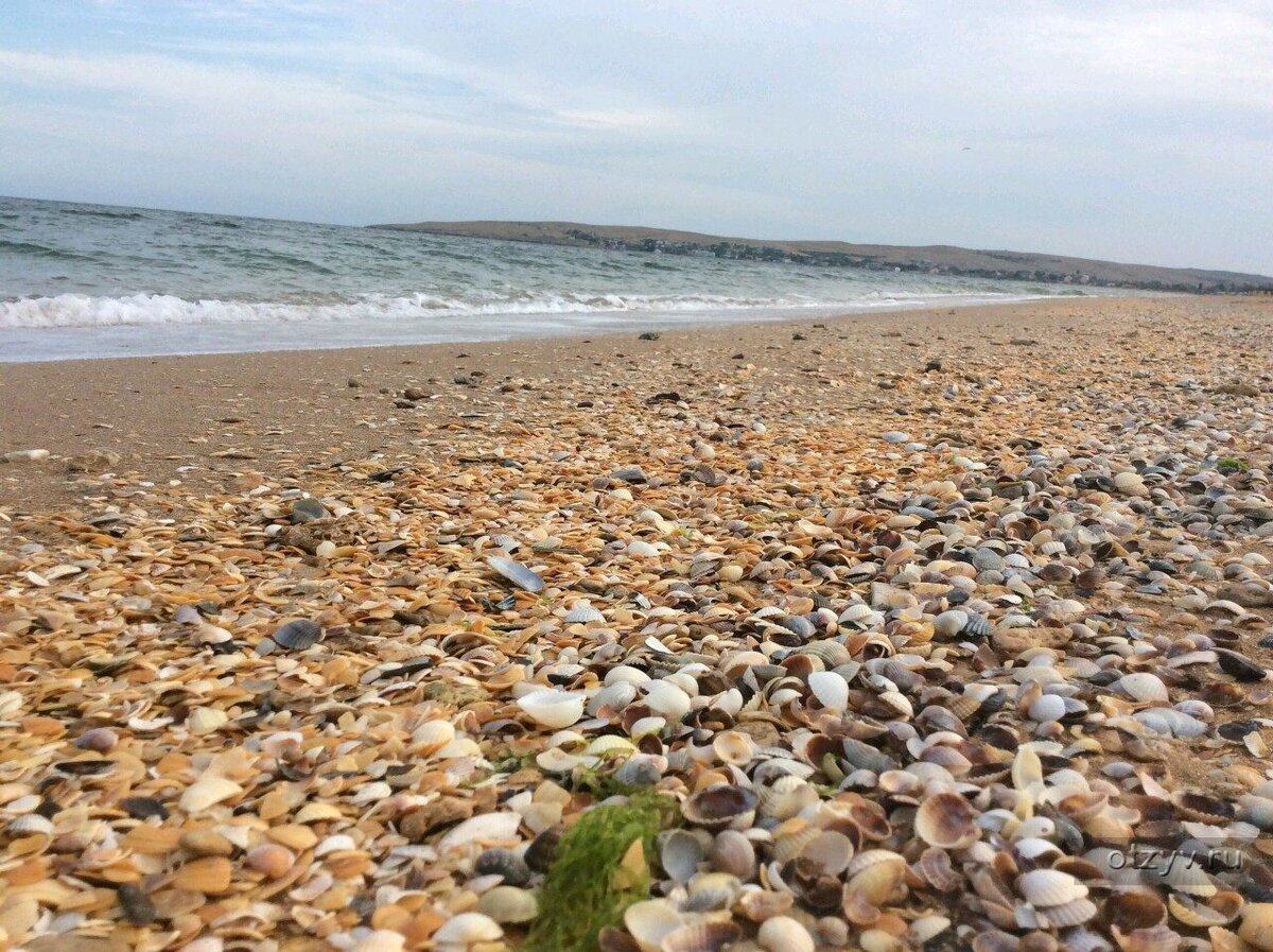 Кучугуры Краснодарский край море