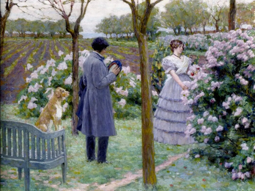 Констанди К. СИРЕНЬ