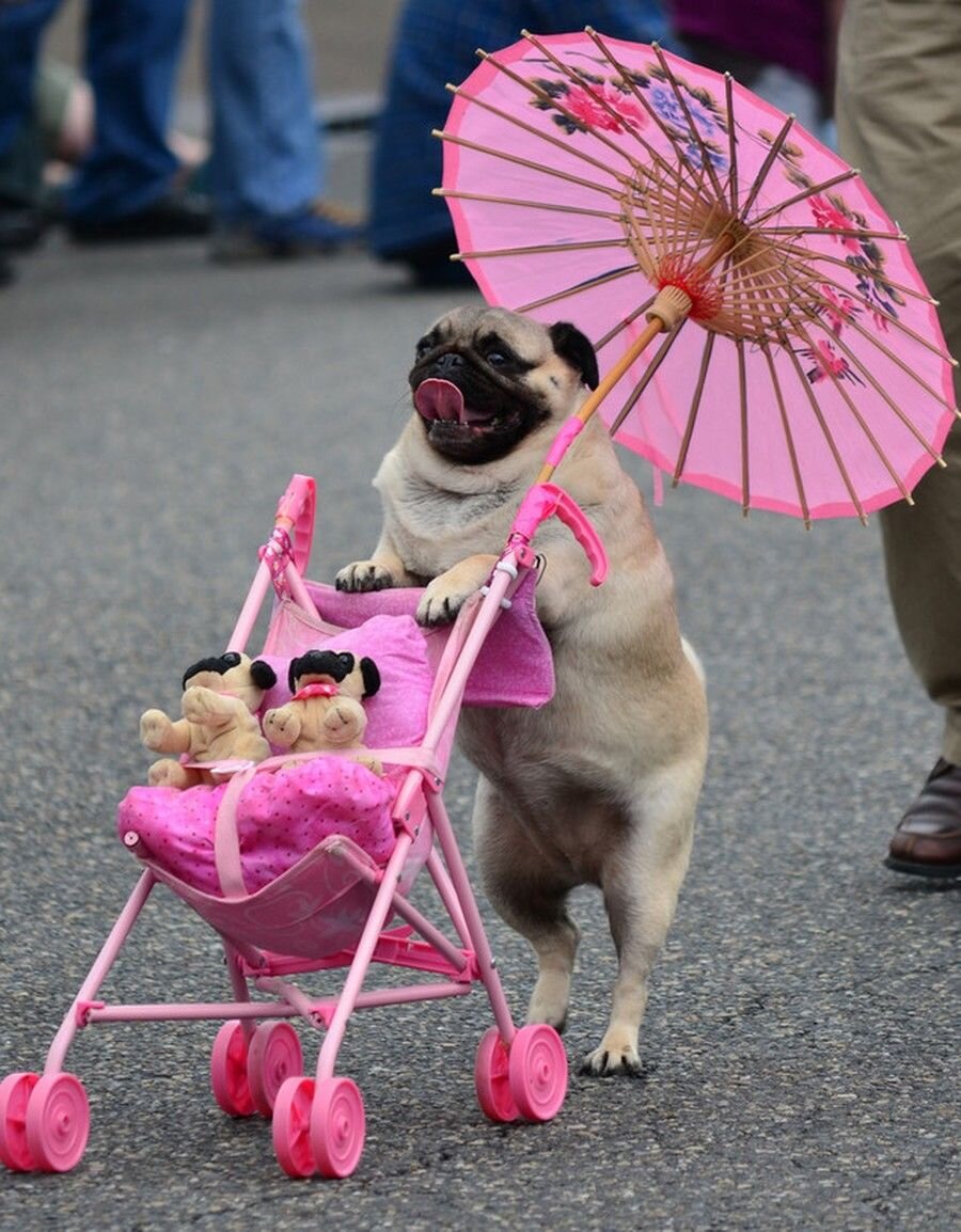 Самое лучшее у каждого свое