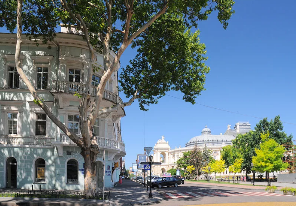 Фото с Яндекса. Одесса