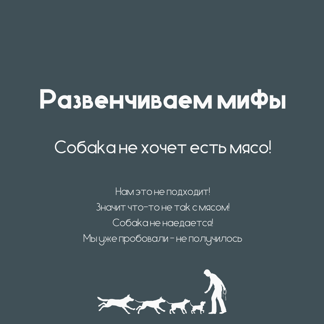 Собака не ест мясо - дело в привычках питания!