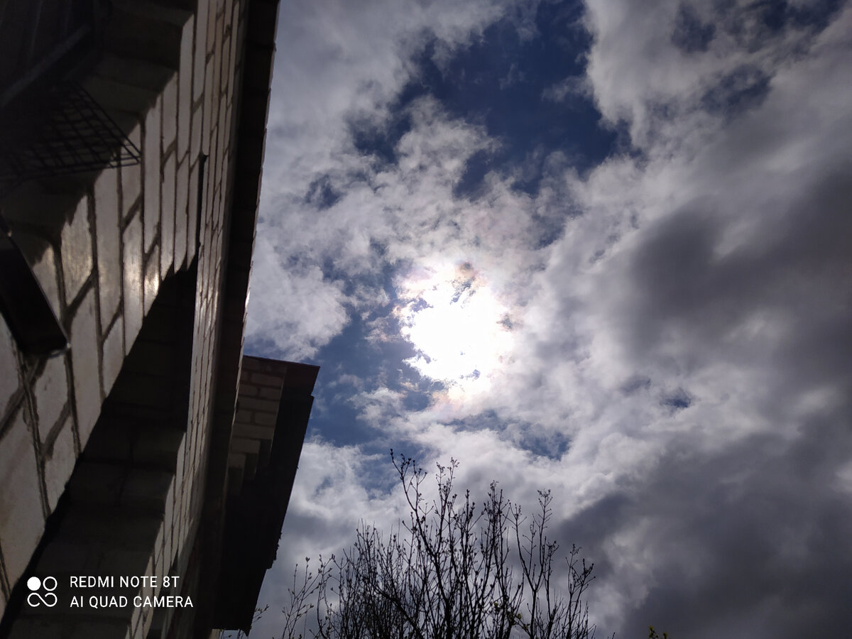 Солнышко делало все вокруг гораздо ярче и теплее 