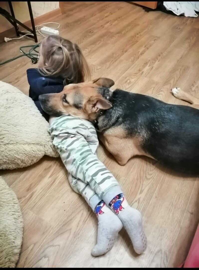 Милаша прекрасно ладит с детьми и другими животными
