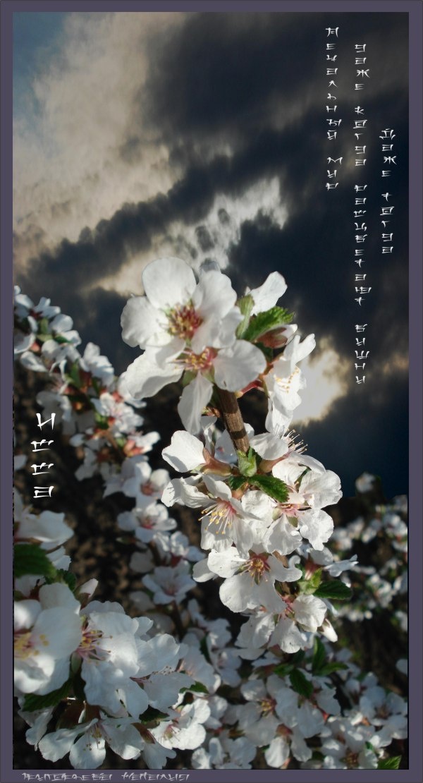 фото и обработка автора