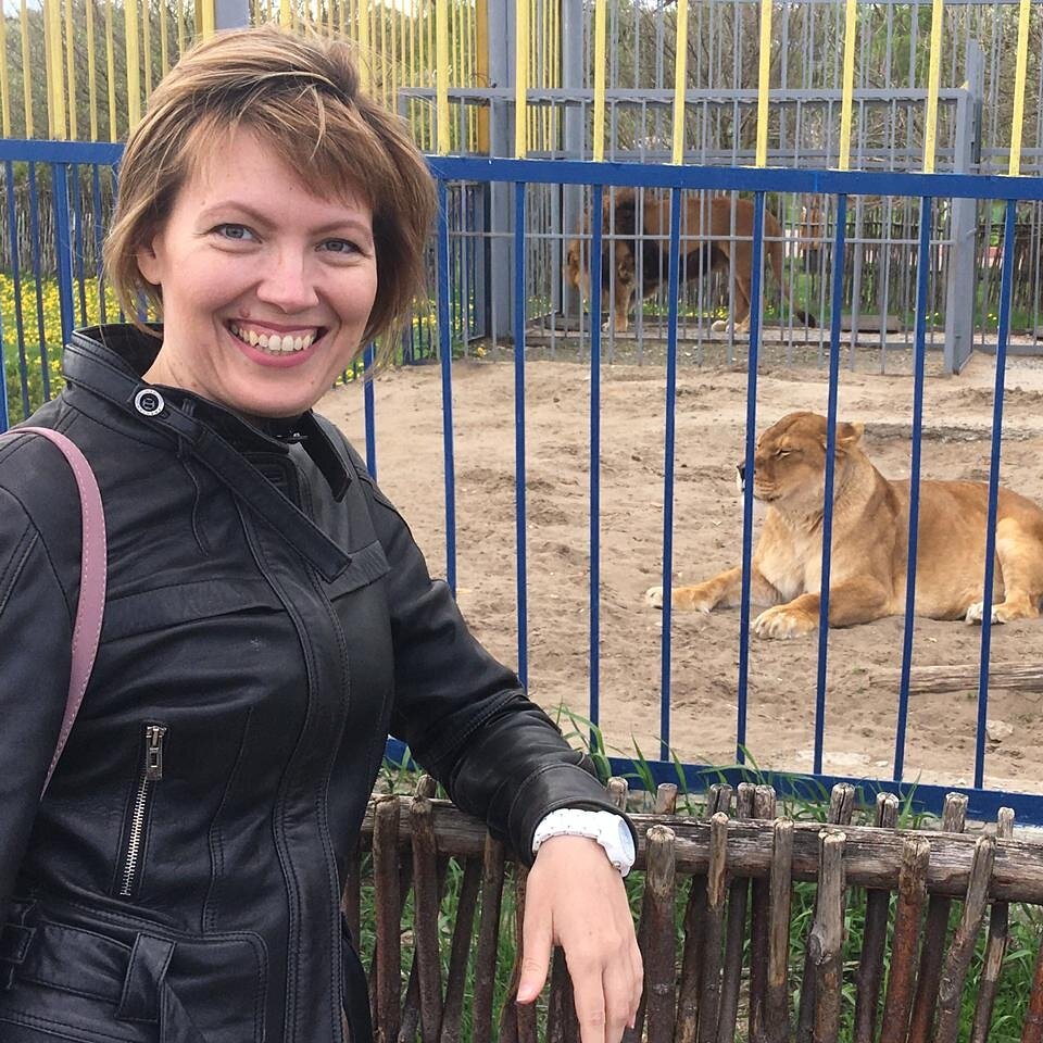 Какое все-таки получаешь удовольствие просто наблюдая за животными. Только посмотрите какая грация и гордость исходит от львицы. 