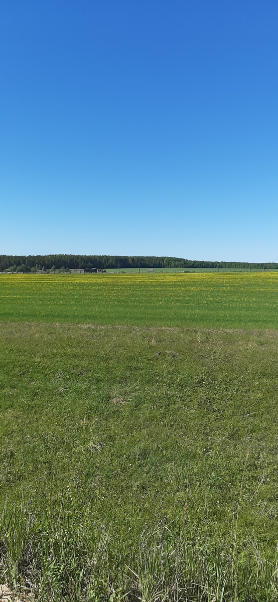 Виды в пути😊