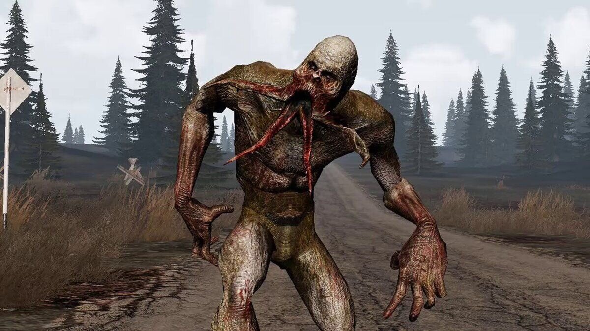 Фото взято из открытого источника