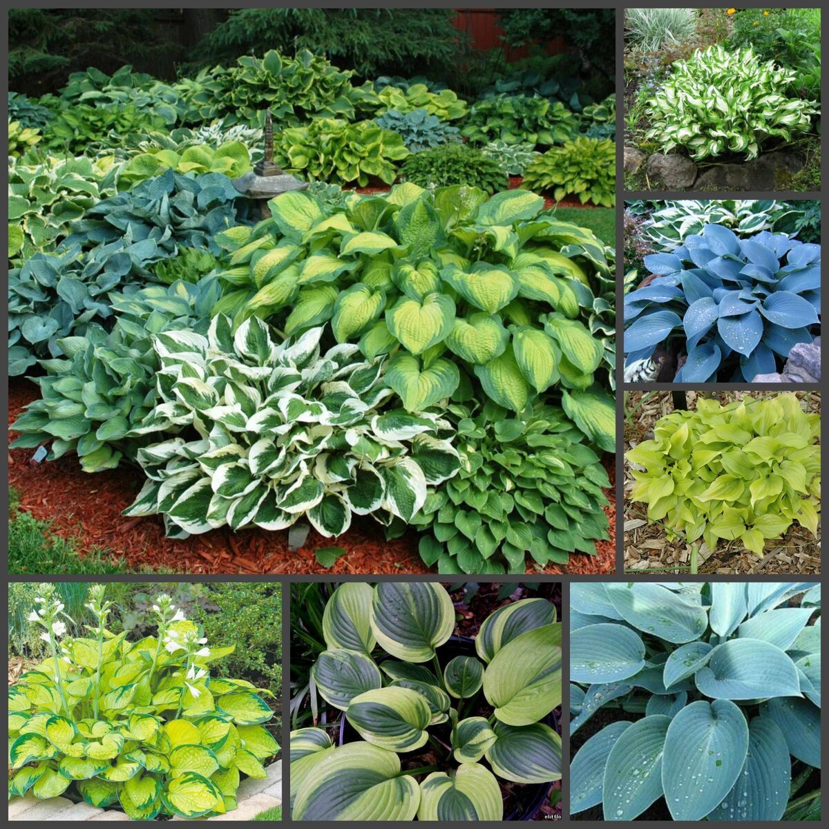 Фото взято из открытых источников на Яндексе