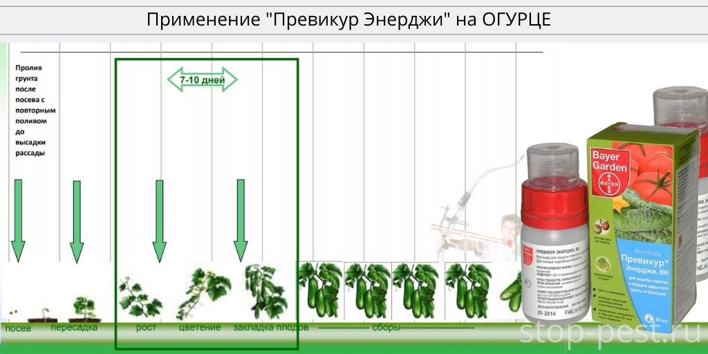 Защита растений от вредителей: