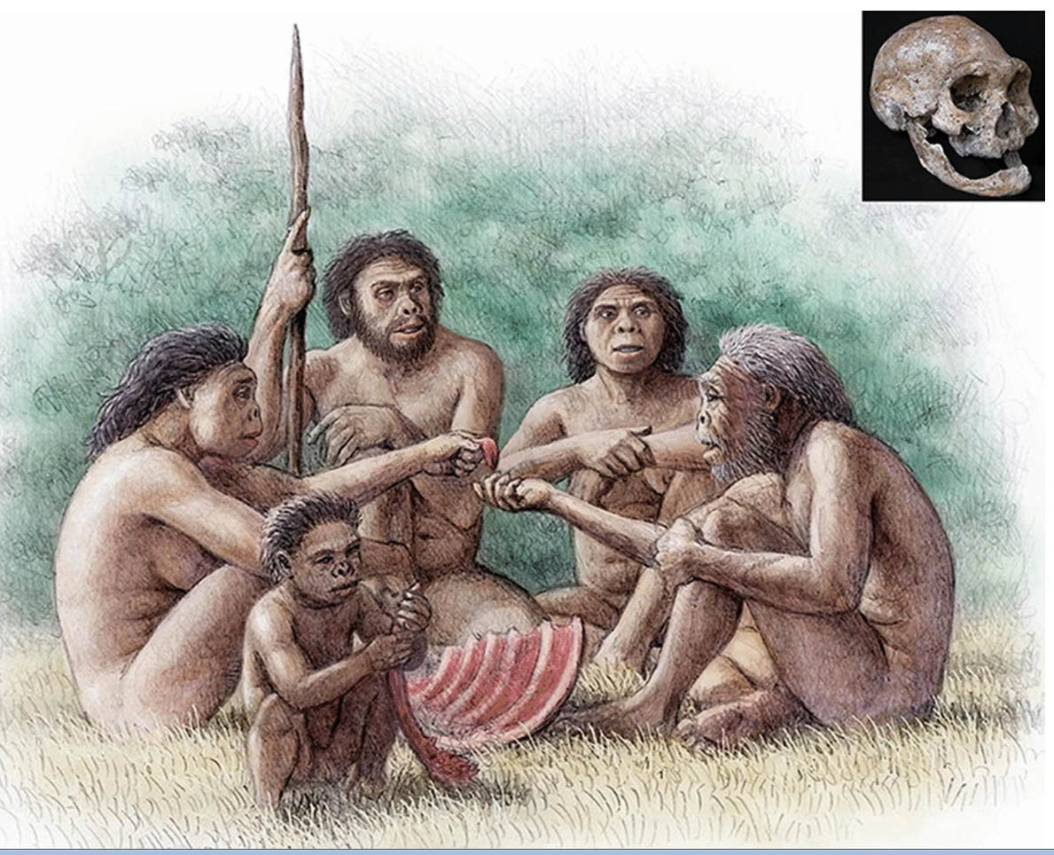 Реконструкция люде из Дманиси. (c) Scientific Reports