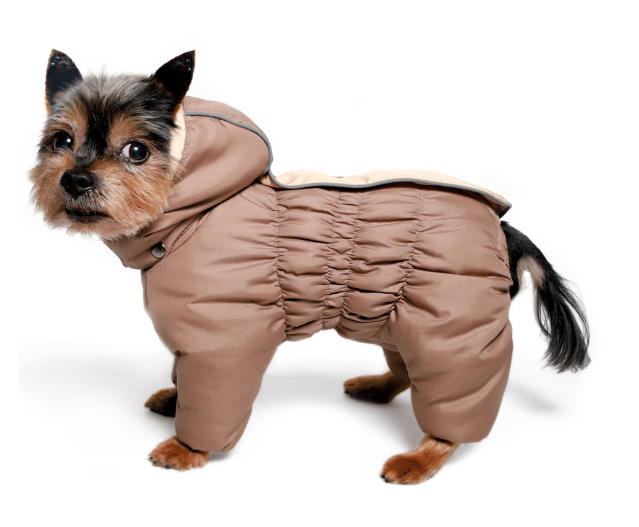 Перечисленные группы собак непременно следует одевать в соответствии с погодными условиями, чтобы они получали от прогулок только пользу и радостные впечатления. На фото – демисезонный комбинезон Gamma «Лига» (арт. 12212120) для миниатюрных собак.