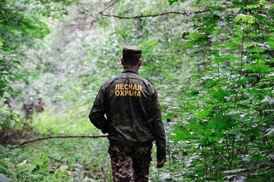    Лесная охрана в Подмосковье © Пресс-служба Губернатора и Правительства Московской области