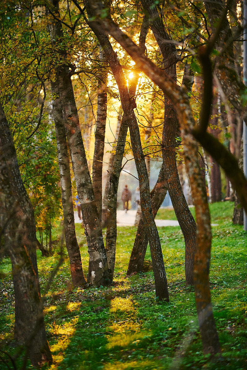 фото: Константин Кордонский