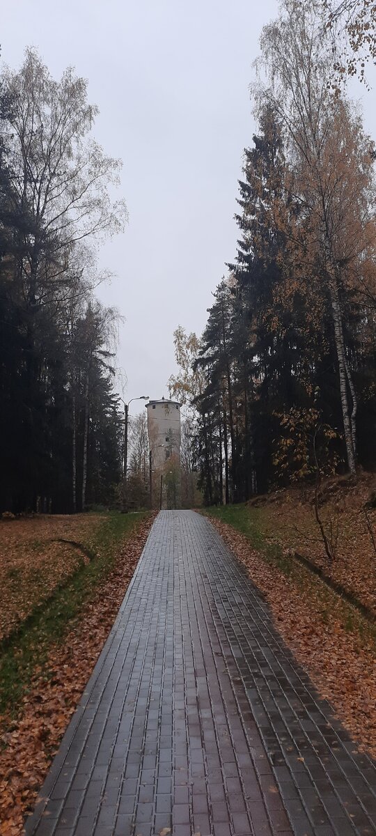 Бегу на почту через небольшой пролесок. Уже почти 6 лет как переехала из СПб в пригород, но до сих пор любуюсь природой, среди которой теперь живу. И даже старая водонапорная башня кажется мне немного сказочной.