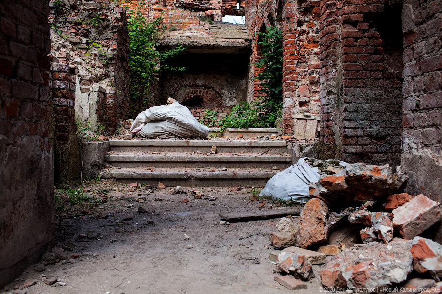 Фото: Денис Туголуков / Новый Калининград