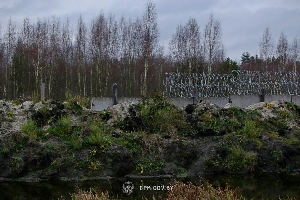     В заборе имеются некоторые бреши. Фото: gpk.gov.by