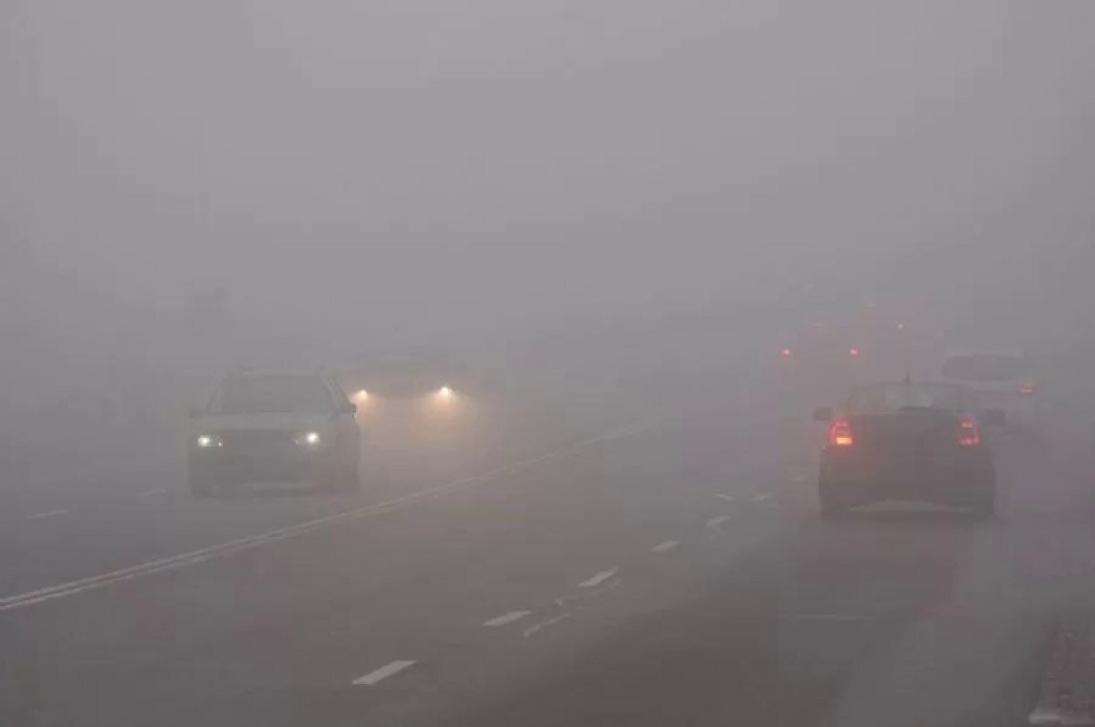    Туманно и без осадков будет в Мурманской области