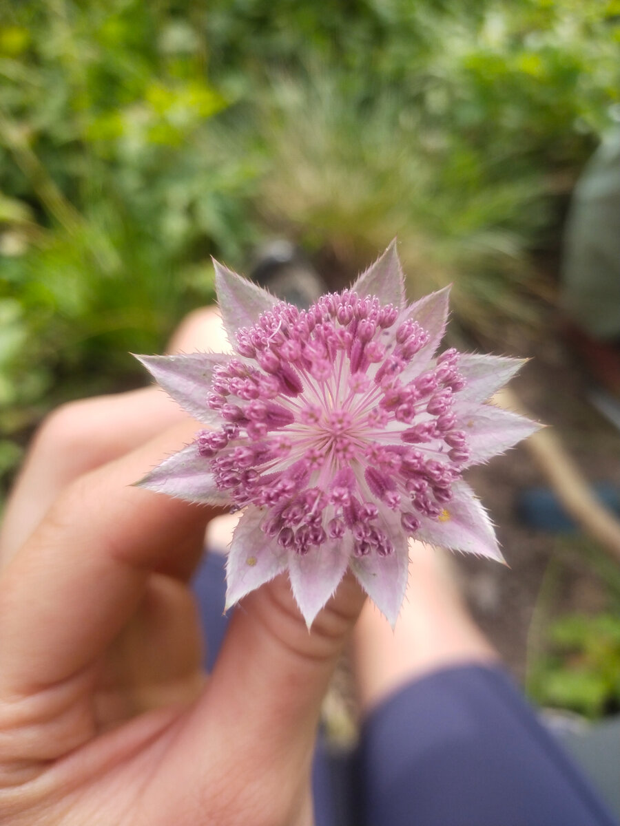 В горах Кавказа, где-то между Тебердой и Архызом