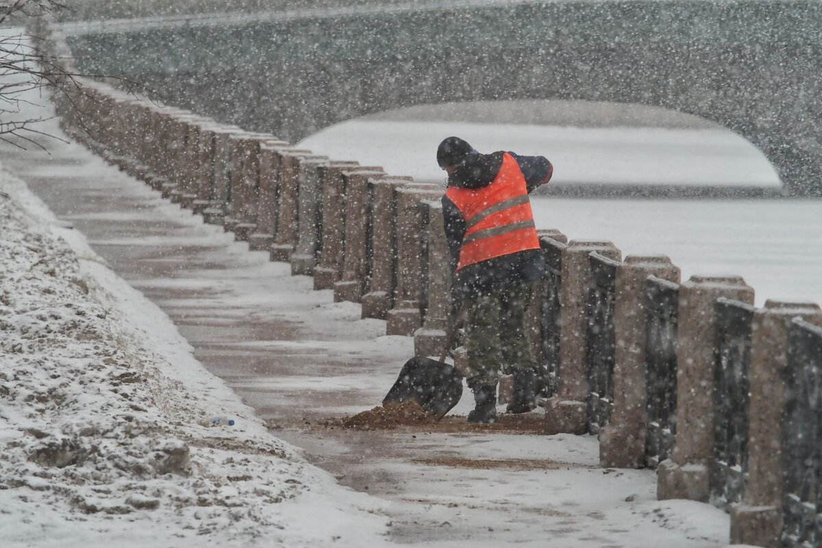   
 Фото: Михаил Огнев / «Фонтанка.ру» / Архив