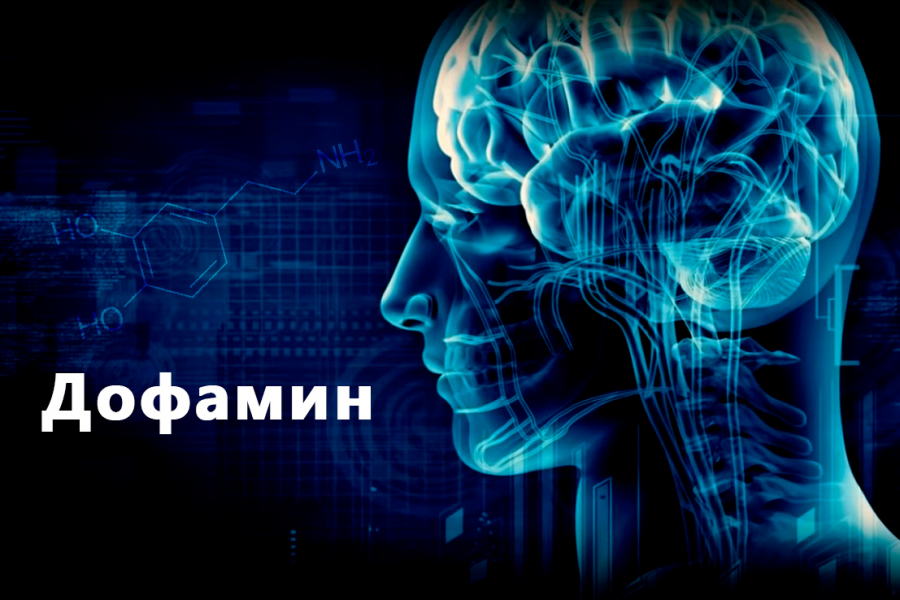 Дофаминовая зависимость. Биохимия мозга. Дофамин мозг. Дофамин гормон. Мозг гормон дофамин.