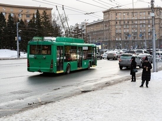     ФОТО: ГУСТАВО ЗЫРЯНОВ / МК В НОВОСИБИРСКЕ