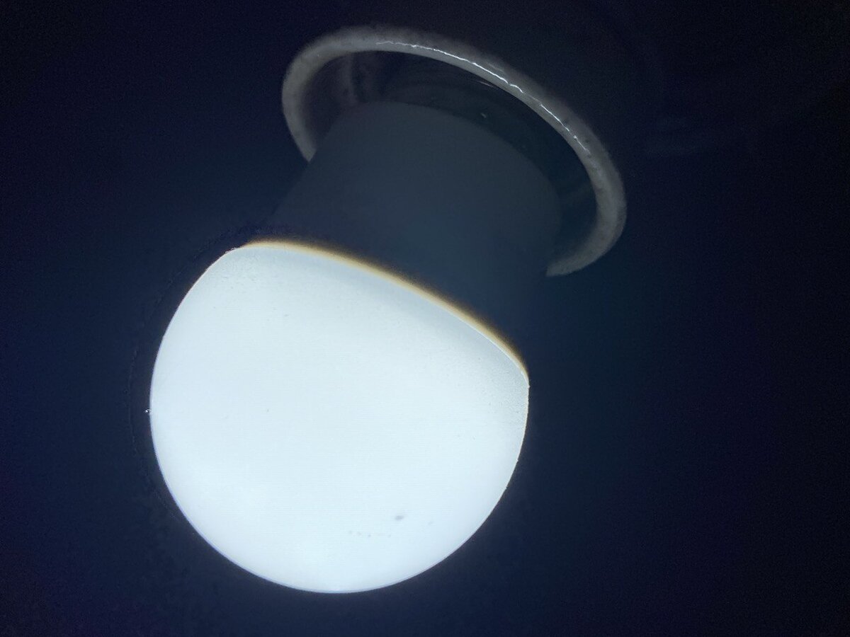 Луч света в курином царстве