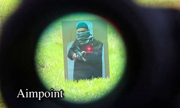 Съемка через прицел Aimpoint (кадр из открытых источников)